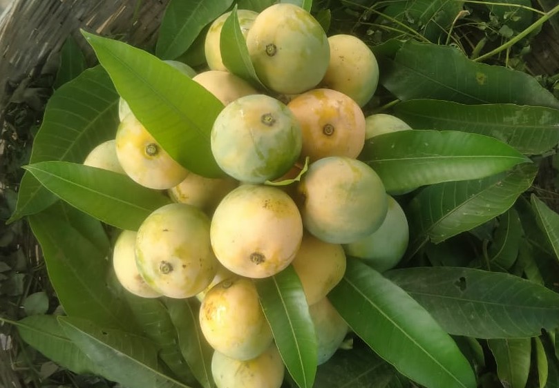 Bhagalpuri Zardalu