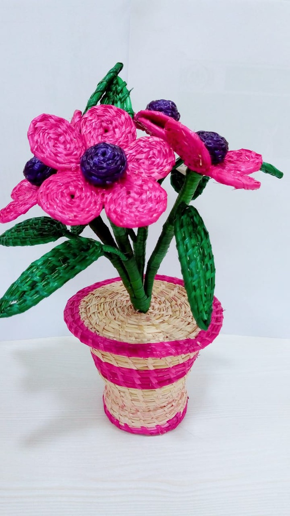 Sikki Flower Pot