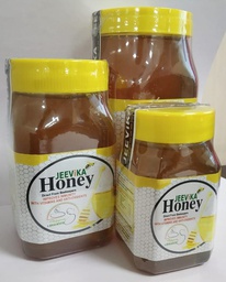 JEEViKA Honey (250 GM)